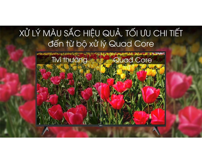 Image Smart Tivi LG 4K 55 inch 55UM7290PTD 5