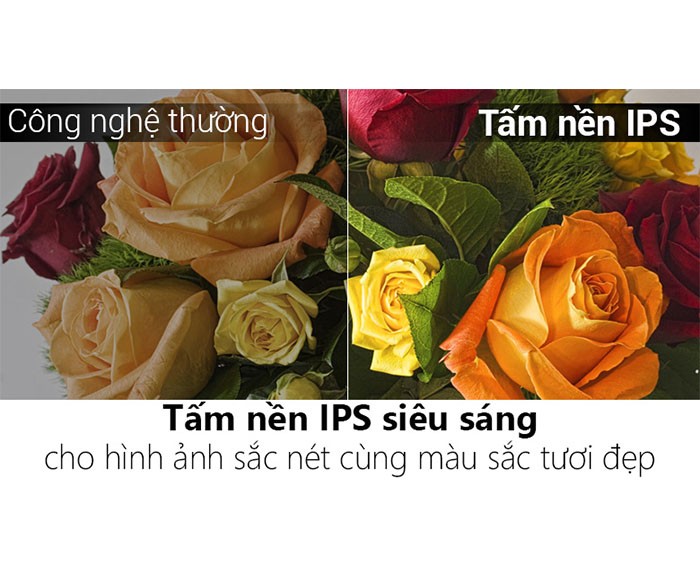 Image Internet Tivi Panasonic 4K 43 inch TH-43DX400V 2
