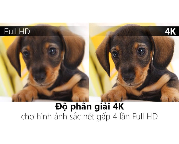 Image Internet Tivi Panasonic 4K 43 inch TH-43DX400V 3