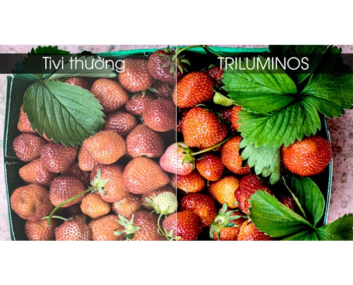 Image Android Tivi Sony 4K 55 inch KD-55X8000G 4