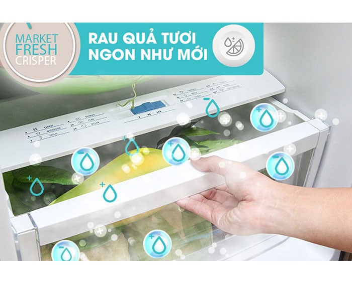 Image Tủ lạnh Electrolux Inverter 334 lít EME3500BG 2