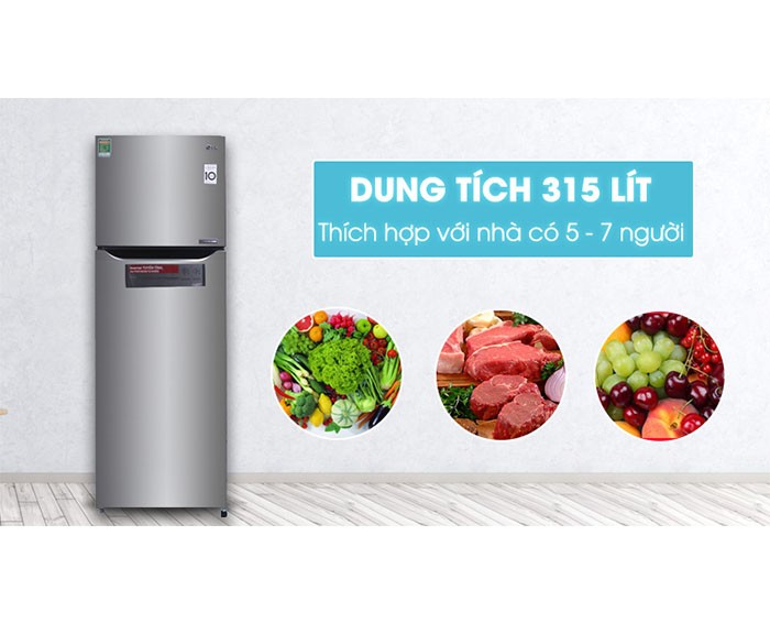 Image Tủ lạnh LG Inverter 315 lít GN-L315PS 3