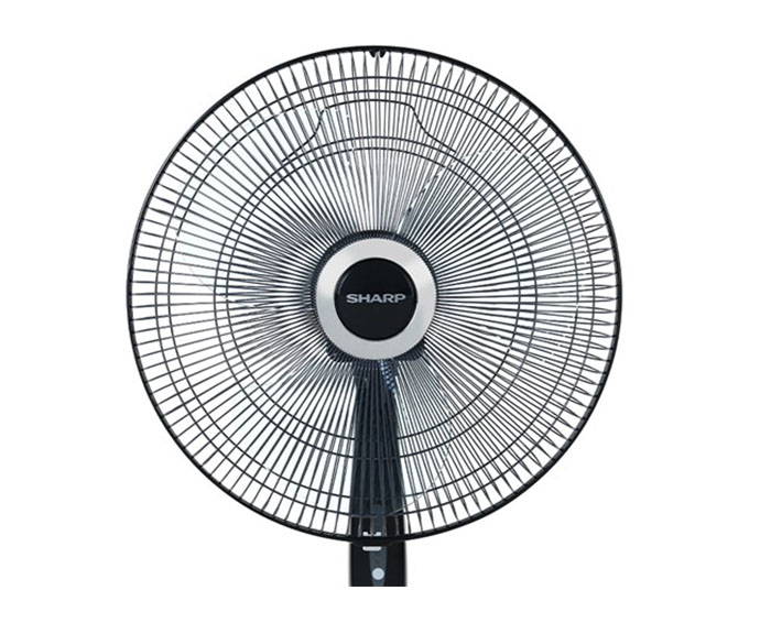 Image Quạt cây khiển Sharp PJ-S40RV-DG 2
