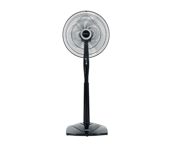 Quạt cây khiển Sharp PJ-S40RV-DG