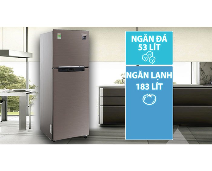Image Tủ lạnh Samsung Inverter 236 lít RT22M4032DX/SV 2