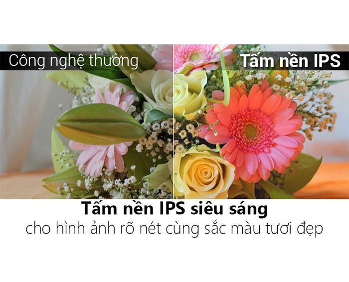 Image Smart Tivi Panasonic 49 inch TH-49DS630V 4