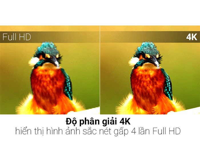Image Smart Tivi TCL 4K 55 inch L55P6-UF 4