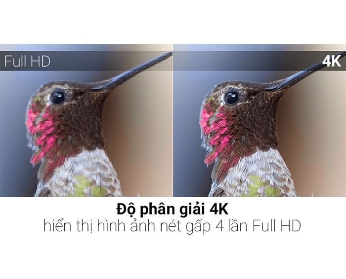 Image Smart Tivi Panasonic 4K 55 inch TH-55FX600V 3