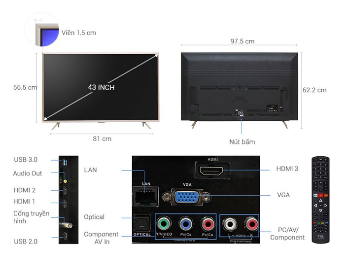 Image Smart Tivi TCL 4K 43 inch L43Z2 5