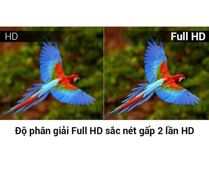 Image Smart Tivi TCL 40 inch L40S62 5
