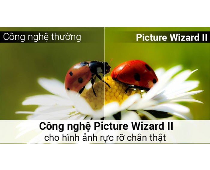 Image Tivi Led ASANZO 43AT500 43 inch 1