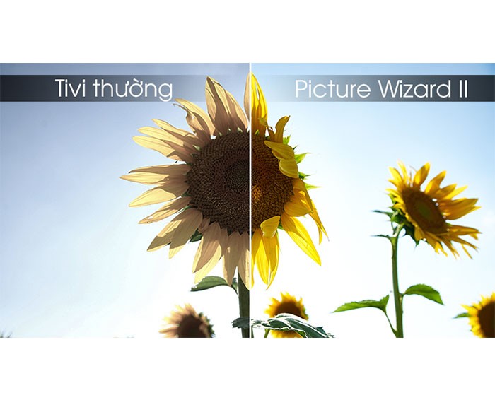 Image Smart Tivi Asanzo 43 inch 43ES980 3