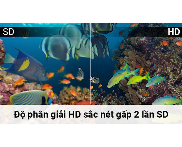 Image Tivi Asanzo 32 inch ES32T890 3