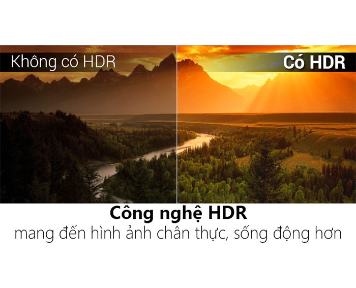 Image Smart Tivi Cong TCL 4K 55 inch L55P5-UC 2