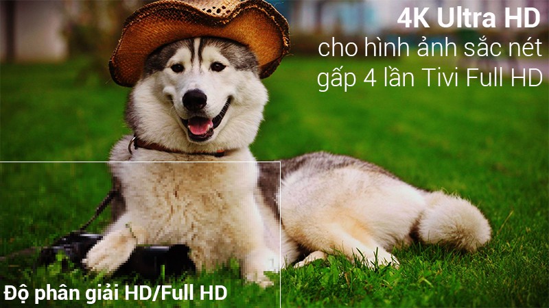 Image Smart Tivi LG 4K 43 inch 43UK6340PTF 2