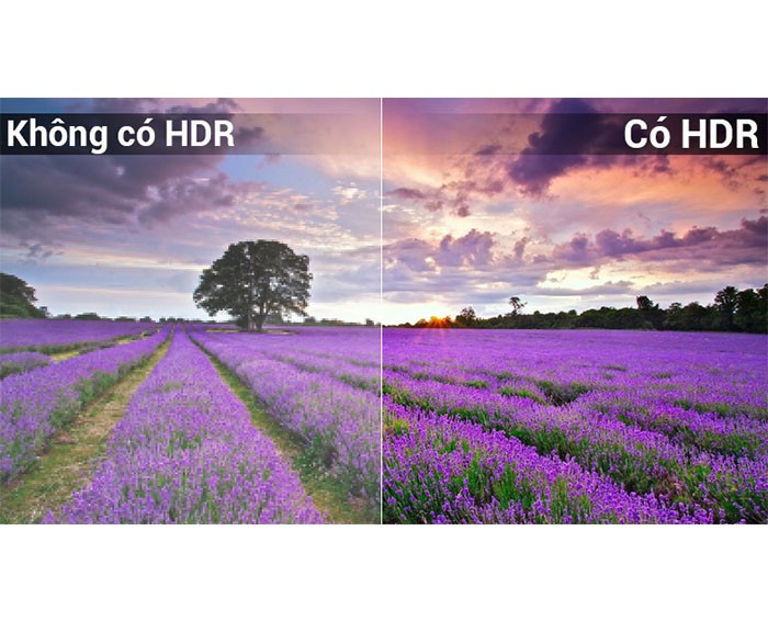Image Smart Tivi Panasonic 4K 49 inch TH-49FX700V 3