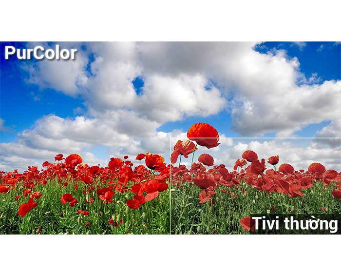 Image Smart Tivi Samsung 49 inch UA49N5500 2