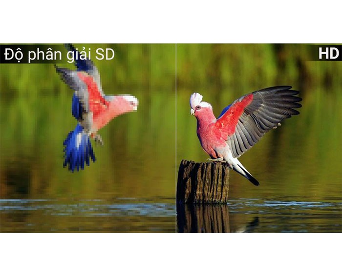 Image Tivi TCL L40D3000 40 inch Full HD 3