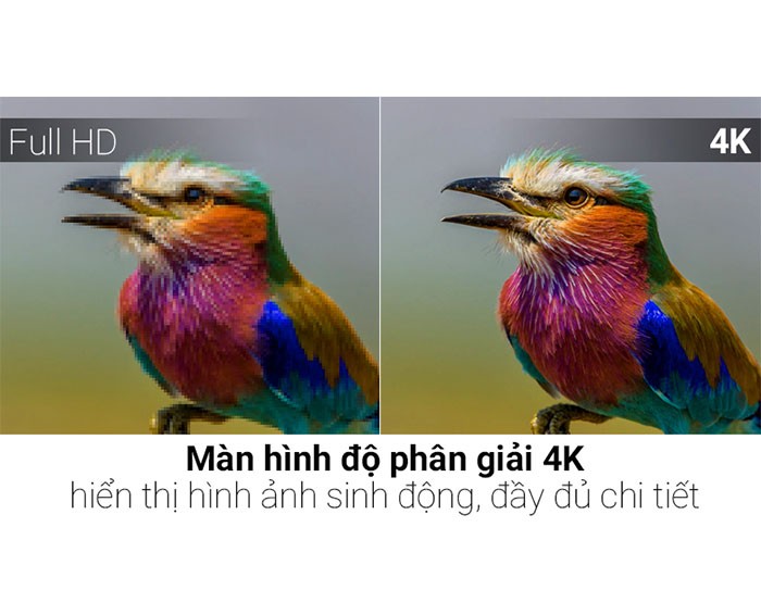 Image Smart Tivi TCL 4K 43 inch L43C2L-UF 3