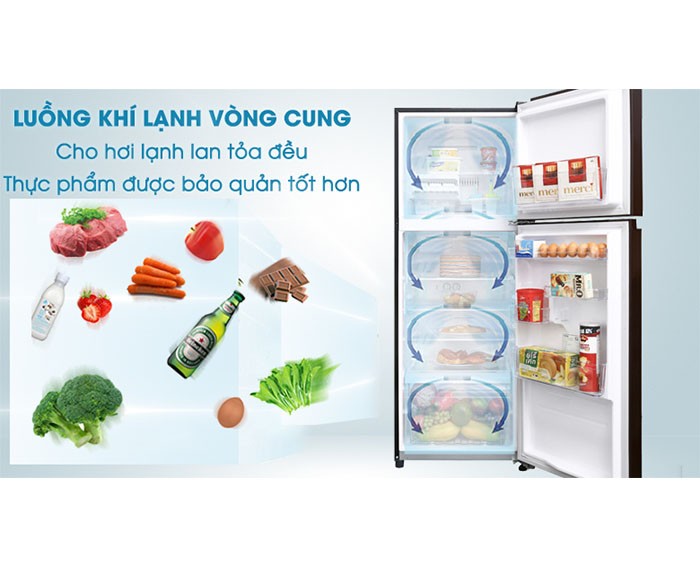 Image Tủ lạnh Toshiba Inverter 305 lít GR-AG36VUBZ XB1 2