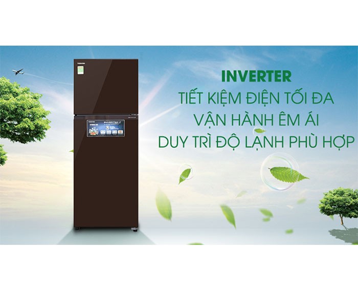 Image Tủ lạnh Toshiba Inverter 305 lít GR-AG36VUBZ XB1 3