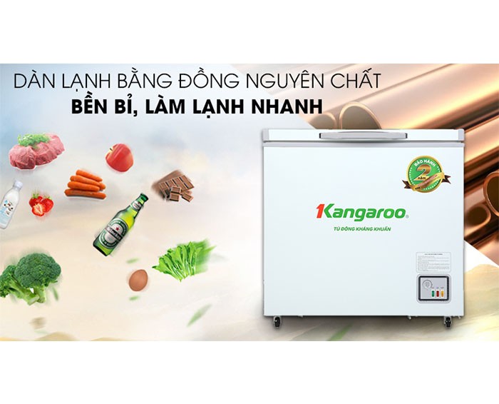 Image Tủ đông Kangaroo 140 lít KG 265NC1 4