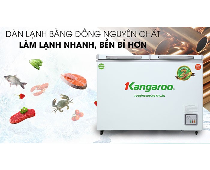 Image Tủ đông Kangaroo 212 lít KG 328NC2 2