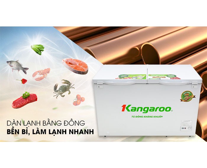 Image Tủ đông Kangaroo 354 lít KG 668C1 3
