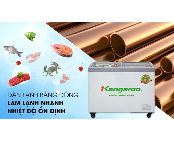 Image Tủ đông Kangaroo 248 lít KG308C1 1