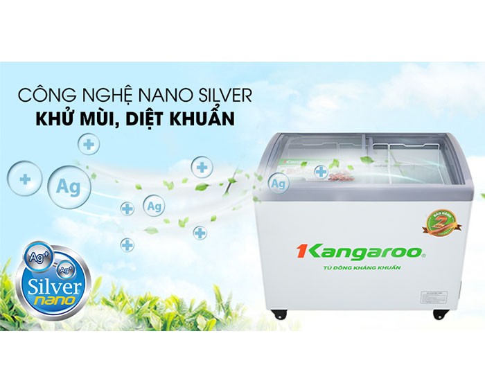 Image Tủ đông Kangaroo 248 lít KG308C1 2