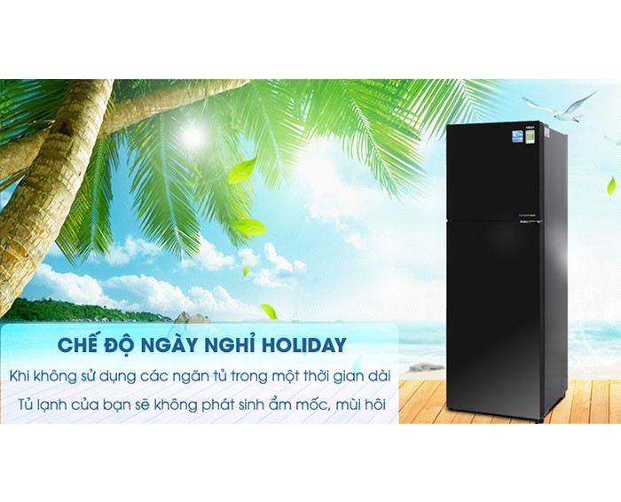 Image Tủ lạnh Aqua Inverter 373 lít AQR-IG386DN GBN 4
