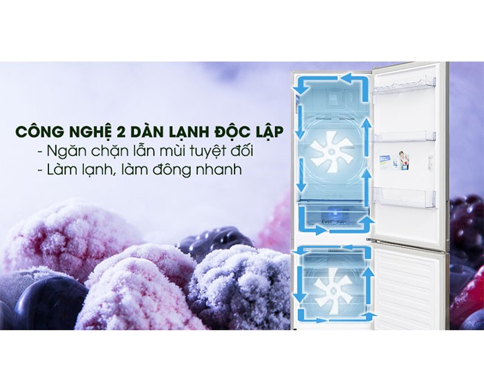 Image Tủ lạnh Beko Inverter 375 lít RCNT375E50VZX 1
