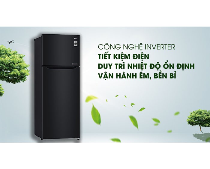 Image Tủ lạnh LG Inverter 209 lít GN-B222WB 3