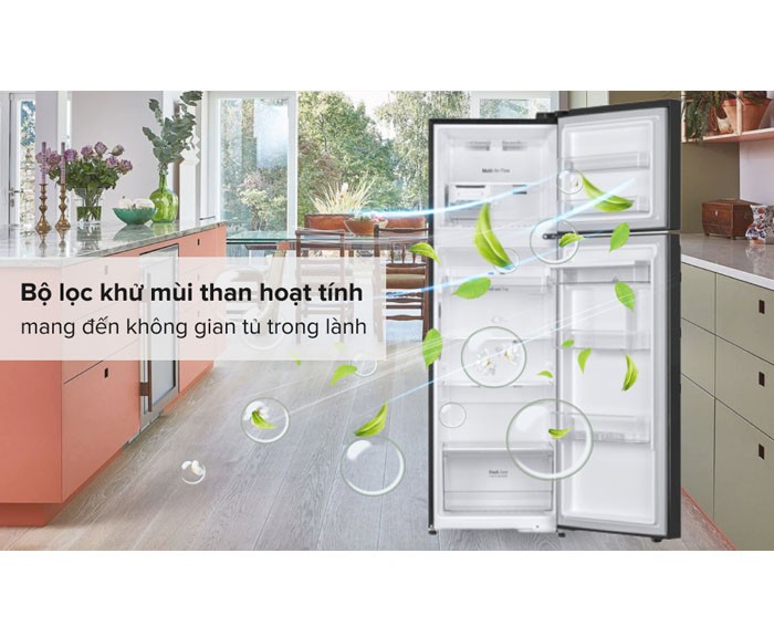 Image Tủ lạnh LG Inverter 264 Lít GV-D262BL 3