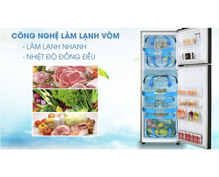 Image Tủ lạnh Samsung Inverter 256 lít RT25M4032BU/SV 3