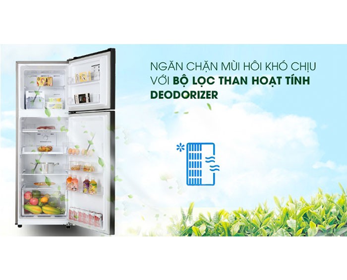 Image Tủ lạnh Samsung Inverter 256 lít RT25M4032BU/SV 4