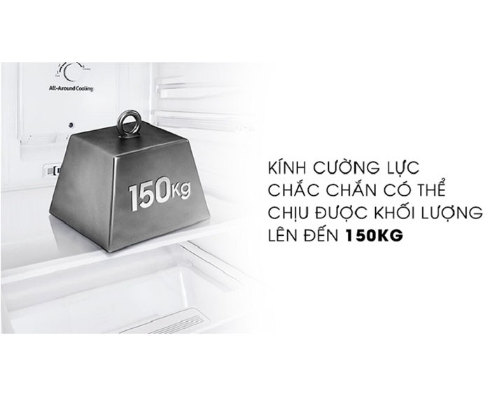 Image Tủ lạnh Samsung Inverter 256 lít RT25M4033S8/SV 1