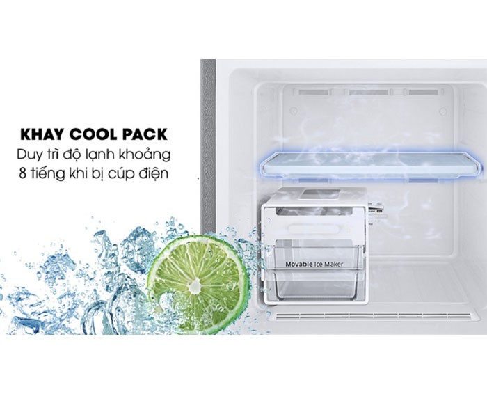 Image Tủ lạnh Samsung Inverter 256 lít RT25M4033S8/SV 3