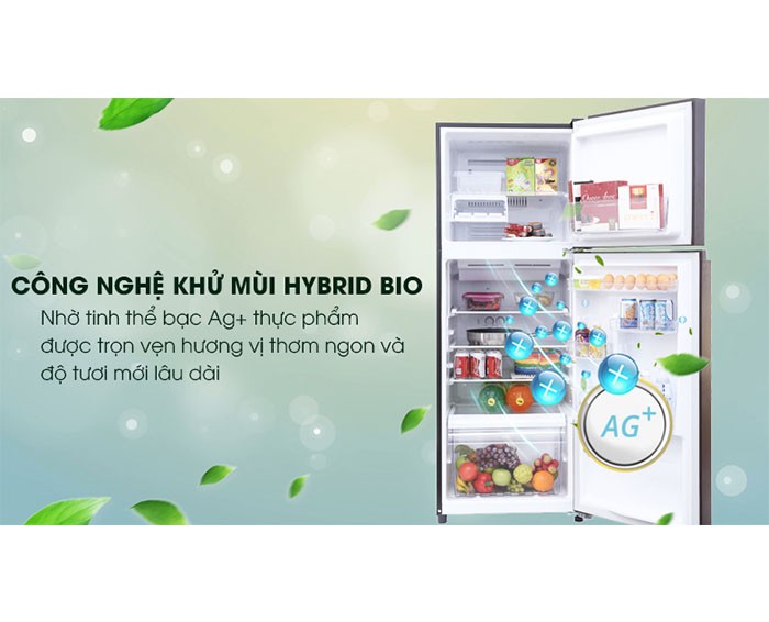 Image Tủ lạnh Toshiba Inverter 305 lít GR-MG36VUBZ(XB) 4