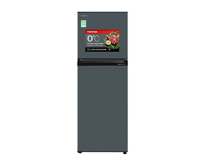 Tủ lạnh Toshiba Inverter 233 lít GR-RT303WE-PMV(52)
